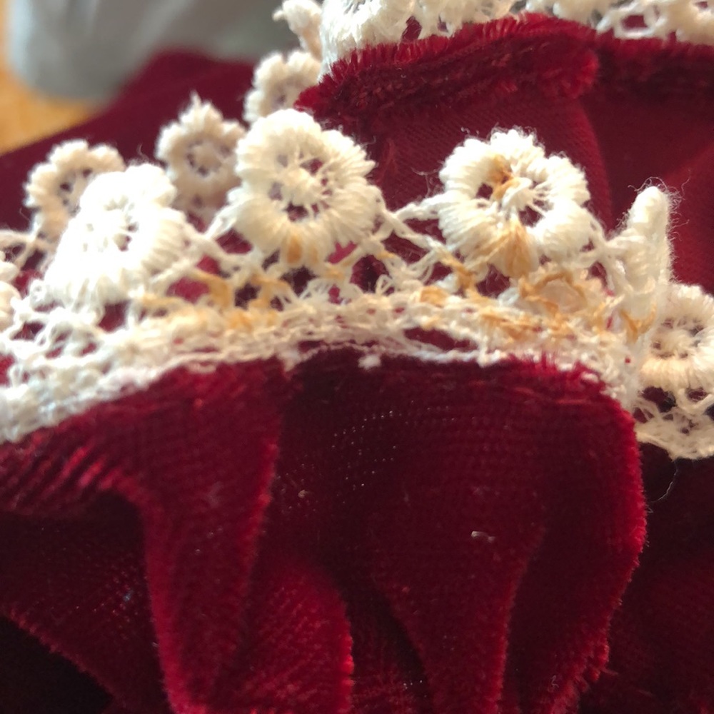 Vintage Edwardian Cranberry Velvet gown - Picture 14 of 14